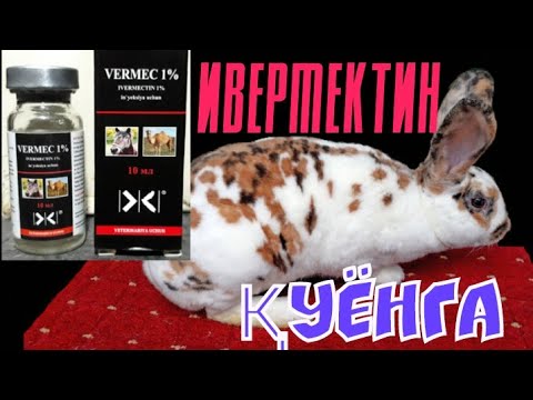Видео: Ивермектин quyonlar uchun. Qo‘llanilishi, muddatlari, dozalari. Ивермектин для кроликам.