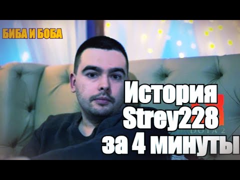 Видео: История и биография стрея-STRAY228