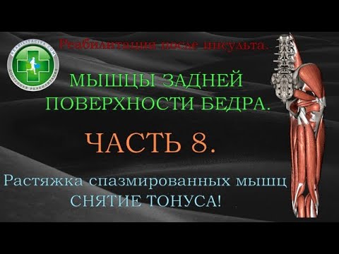 Видео: Растяжка спазмированных мышц, снятие тонуса. Часть 8. Мышцы задней поверхности бедра.