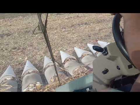 Видео: ПАЛЕССЕ G3219 уборка кукурузы обзор из кабины