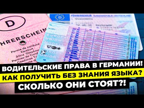 Видео: Как здать на права в Германии,без знания немецкого!?🤷🤣#германия #водительскиеправа #führerschein