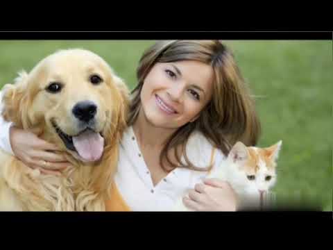 Видео: Музично-дидактична гра "Музичні інструменти для тваринок" для дітей дошкільного віку.