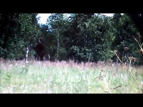 Видео: Продолжение.  Вопросы про пчел, ответы на 3 и 4, мой взгляд из деревни.