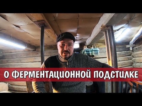 Видео: КАК ЗАПУСТИТЬ БАКТЕРИИ Для Подстилки Свиней. ФЕРМЕНТАЦИОННАЯ ПОДСТИЛКА. СОВЕТЫ ПО УХОДУ.