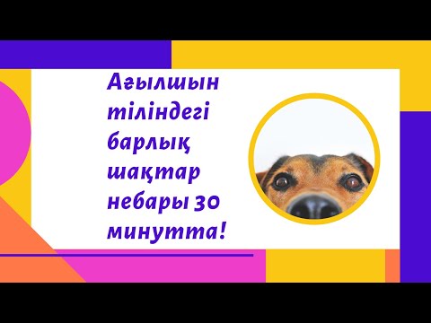 Видео: Ағылшын тіліндегі 12 шақ.  Шақтарды оқу.