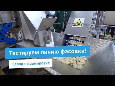 Видео: Зона фасовки замороженных овощей на заводе. Оборудование для сортировки и упаковки цветной капусты.