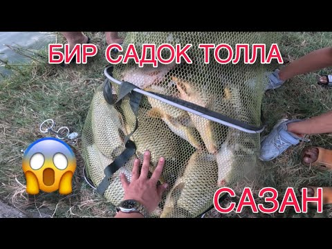 Видео: ТОХТАМЕЙ САЗАН АМУР ЧИКАРДИМ/ БАЛИК ОВИ/ КАРПЯТНИК / РАБАЛКА НА ФИДЕР КАРПЯТНИК В УЗБЕКИСТАНЕ/ ЛОВИМ