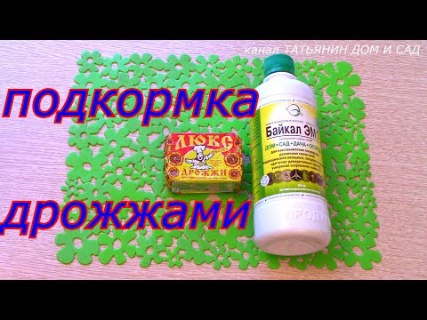 Видео: подкормка дрожжами