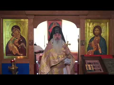 Видео: По нам ли ЗВОНИТ КОЛОКОЛ?! #СхиигуменГАВРИИЛ (Виноградов-Лакербая) #КавказскийскитВалаама