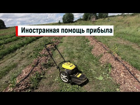 Видео: Колёсный тример прибыл в хозяйство. Отзыв на Champion LMH5640