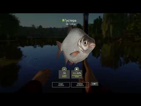 Видео: #7 НАШЛИ РЫБНОЕ МЕСТО!!! ▶ Russian Fishing 4