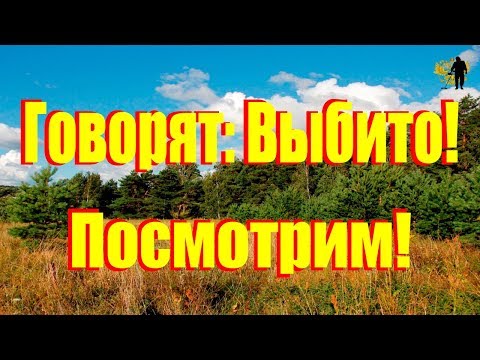 Видео: Находки, что можно найти на выбитом месте...