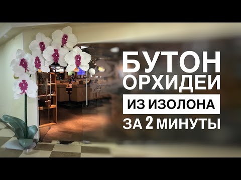 Видео: Бутон орхидеи из изолона