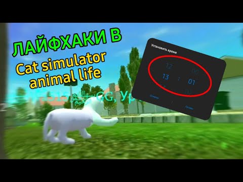Видео: ЛАЙФХАКИ в CAT SIMULATOR ANIMAL LIFE, которые УПРОСТЯТ твою жизнь