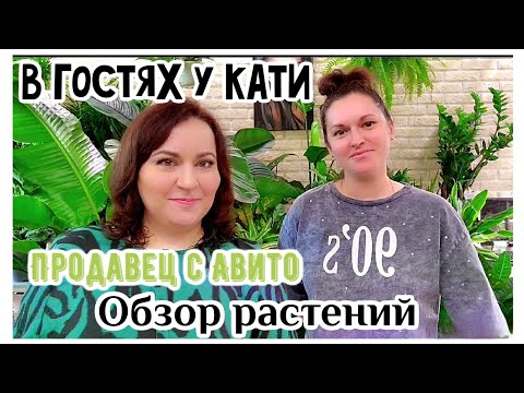 Видео: В гостях у Кати. Обзор коллекции растений и растений на продажу