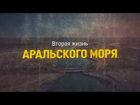 Видео: Вторая жизнь Аральского моря | Документальный фильм