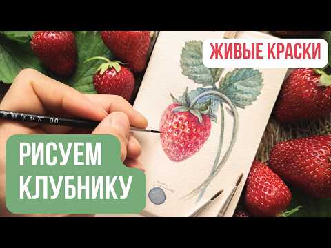 Видео: Как нарисовать клубнику СВЁКЛОЙ?🍓 Рисую клубнику самодельными красками из растений (и вы сможете!)