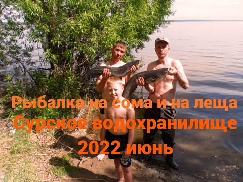 Видео: Ловля сомов 2022-Рыбалка на сома и леща-Сурское водохранилище 2022-  сом "Мегаладон"