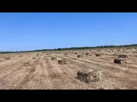 Видео: Пресс подборщик Киргистан с немецким вязальным аппаратом отзыв ￼#киргизстан #симпа#джондир#тукан
