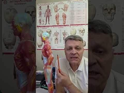 Видео: 21 октября 2025 г.