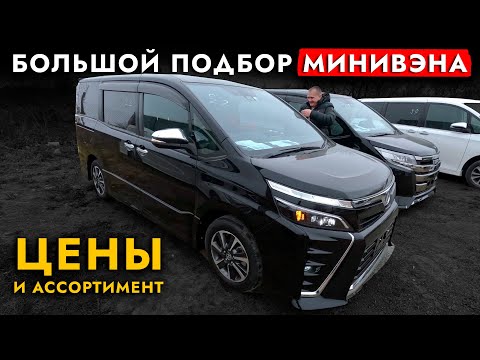 Видео: Автоподбор МИНИВЭНА❗️ TOYOTA или HONDA? Большой обзор ЦЕН!  Voxy | Noah | Esquire | Stepwgn