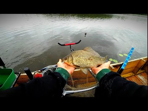 Видео: 🔥🔥🔥 КАРАСИ  приплыли на точку наконец-то я их нашёл 🐟🐟🐟