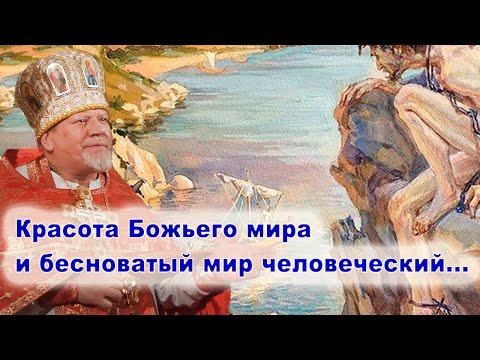 Видео: Красота Божьего мираи бесноватый мир человеческий... проповедь священника Георгия Полякова.