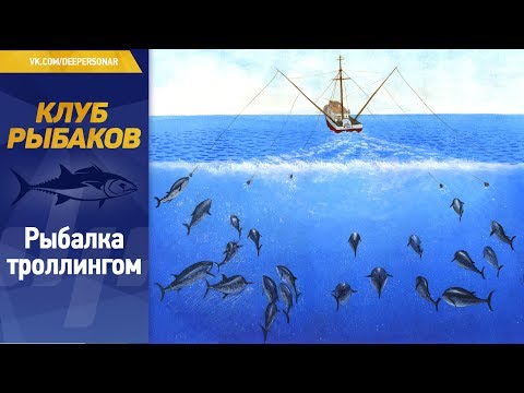 Видео: Рыбалка с лодки. Рыбалка троллингом.
