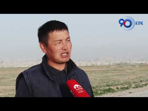Видео: Нарын облусу: жан кейиткен жол