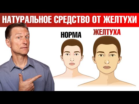 Видео: Что такое желтуха? Натуральные средства от желтухи🙌