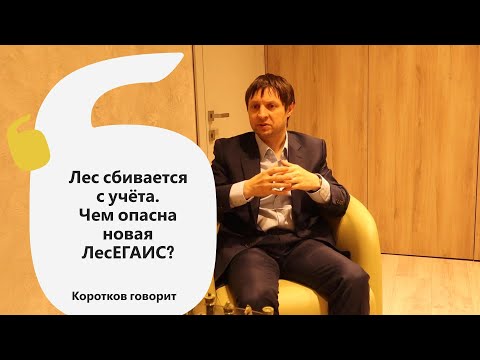 Видео: Коротков говорит: Лес сбивается с учёта. Чем опасна новая система ЛесЕГАИС?
