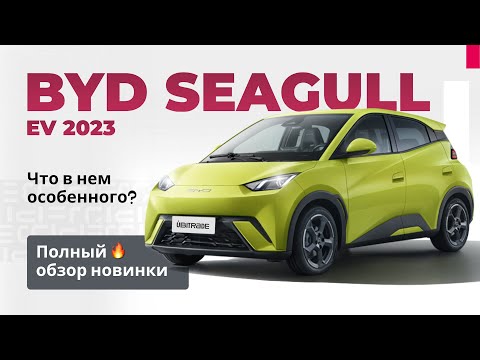 Видео: Полный обзор BYD Seagull 2023 | Самый маленький BYD | Бюджетный BYD