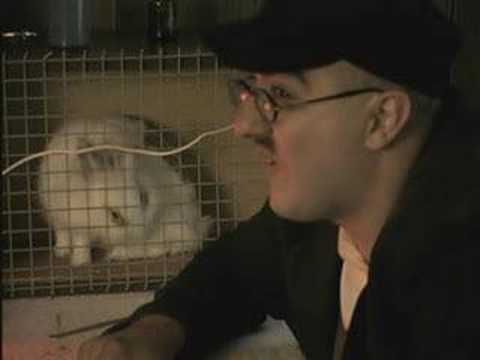 Видео: Геополипы (Адольф и его команда) part 1