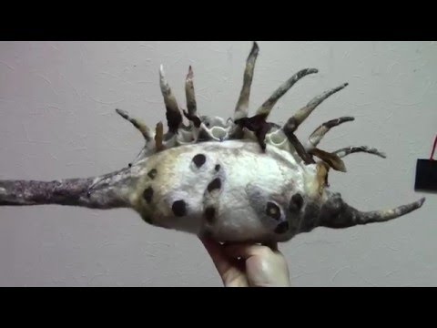 Видео: Видеозарисовка с МК. Валяние морской ракушки.