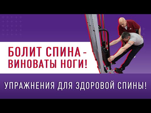 Видео: БОЛИТ СПИНА – ВИНОВАТЫ НОГИ! Упражнения для здоровой спины!