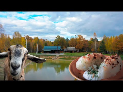 Видео: Что посадить, чтобы отдыхать 15 лет? Что приготовить, чтобы не ходить в ресторан? Цеппелины и газон.