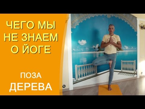 Видео: Поза дерева. Врикшасана - техника выполнения в деталях. Чего мы не знаем о йоге!