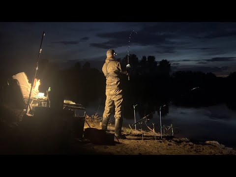 Видео: На рыбалке с женой. Мощные поклёвки срывают удочки с рогаток. #рыбалка #72 #фидер #мощные #поклёвки