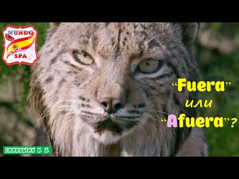 Видео: 166. FUERA или  AFUERA ?