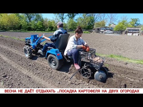 Видео: НЕ УСПЕЛ И ОТДОХНУТЬ ....ПОСАДКА КАРТОФЕЛЯ НА ДВУХ ОГОРОДАХ МОТОБЛОКОМ/ PLANTING POTATOES