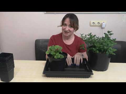 Видео: Капиллярный мат