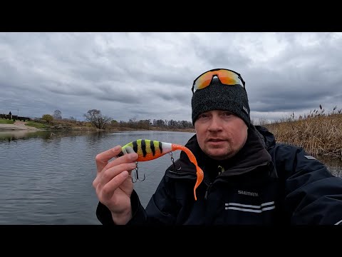 Видео: Джерки . Река Воронеж. Гуппи выручил).