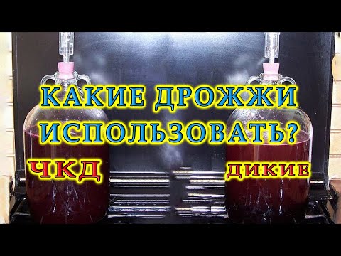 Видео: ЧКД (чистая культура дрожжей) или дикие дрожжи? | Ответы на вопросы