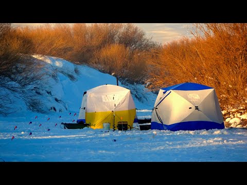 Видео: РЫБАЛКА НА СЕВЕРЕ! ЗИМНЯЯ РЕКА РЫБАЛКА МЕЧТЫ... ЩУКА, ОКУНЬ. ЧАСТЬ 1
