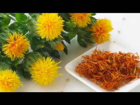 Видео: Сафлор, красильный чертополох  . Safflower