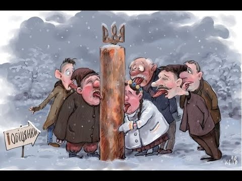 Видео: Забавные соседи по глобусу
