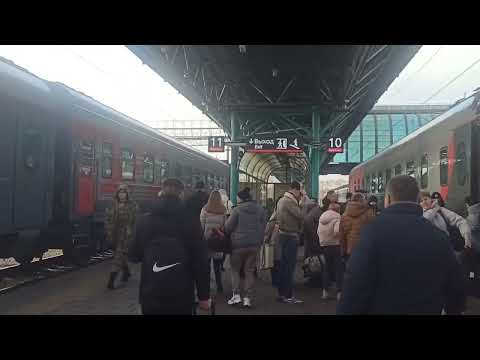 Видео: Информатор вокзала Самара 17.11.2024