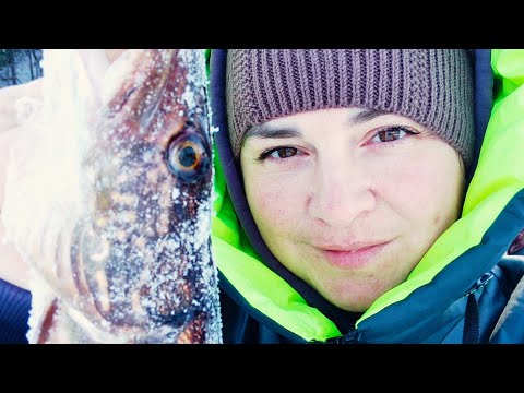 Видео: Турбо рыбалка на диком озере