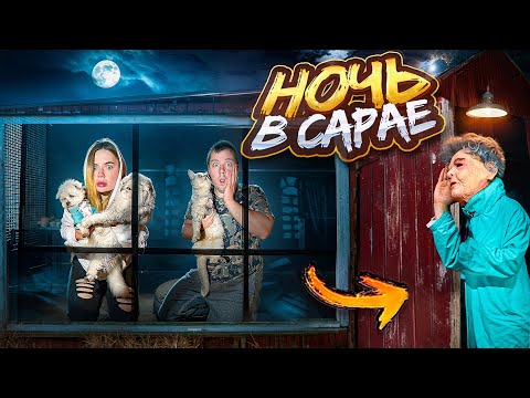 Видео: НОЧЬ В САРАЕ  *СЕКРЕТНО* СО ВСЕМИ КОТАМИ | СЛЕДИМ ЗА КЛАВДИЕЙ