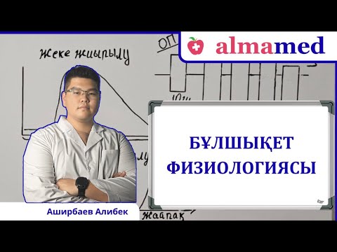 Видео: Бұлшықет физиологиясы